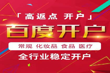 百度SEO推广策略全解析：某企业从零到一的成长历程